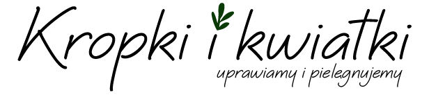 Blog ogrodniczy Kropki i Kwiatki - rośliny i kwiaty domowe i doniczkowe